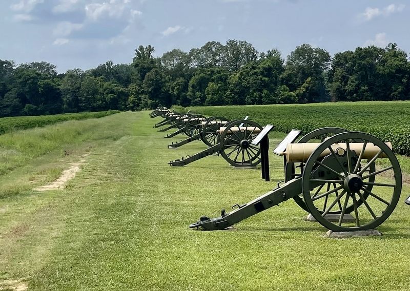 Union 12 Gun Battery line at Raymond Battlefield. image. Click for full size.