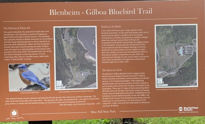 Blenheim-Gilboa Bluebird Trail Marker image. Click for full size.