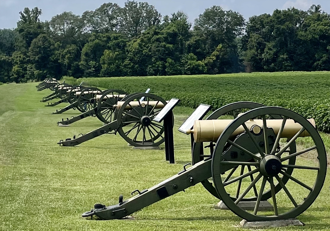 Line of 12 replica artillery at Raymond Battlefield.