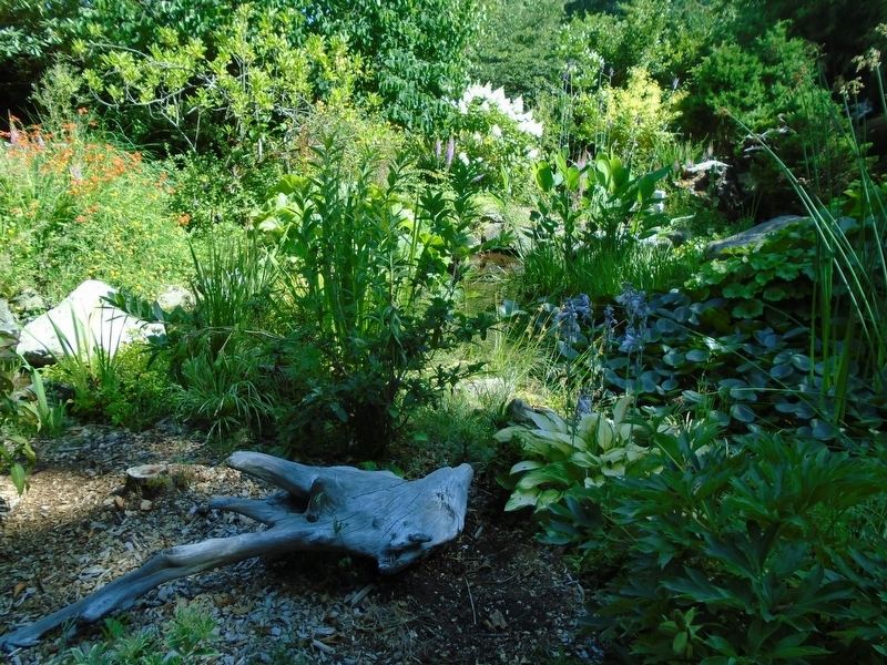 Elda Behm's Paradise Garden. Click for full size. Elda Behm's Paradise Garden image. Click for full size.