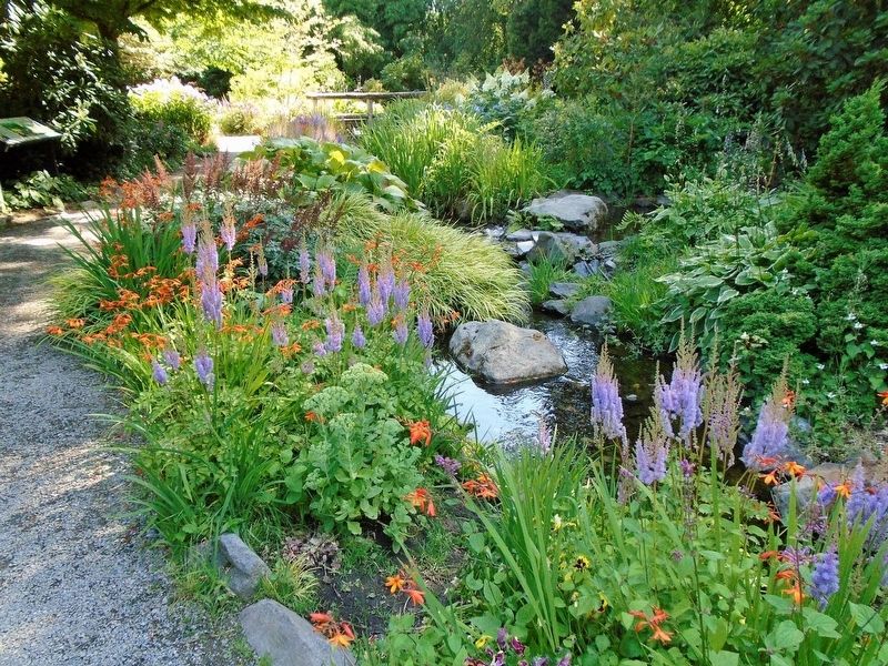 Elda Behm's Paradise Garden. Click for full size. Elda Behm's Paradise Garden image. Click for full size.