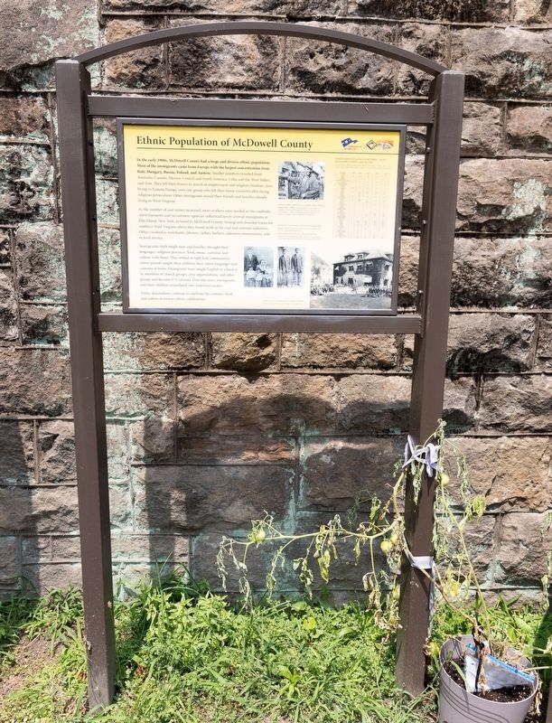 Ethnic Population of McDowell County Marker. Click for full size. Ethnic Population of McDowell County Marker image. Click for full size.