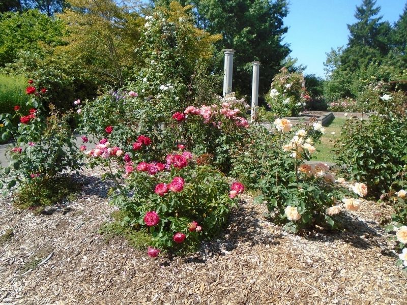 National Rosie the Riveter Memorial Rose Garden image. Click for full size.