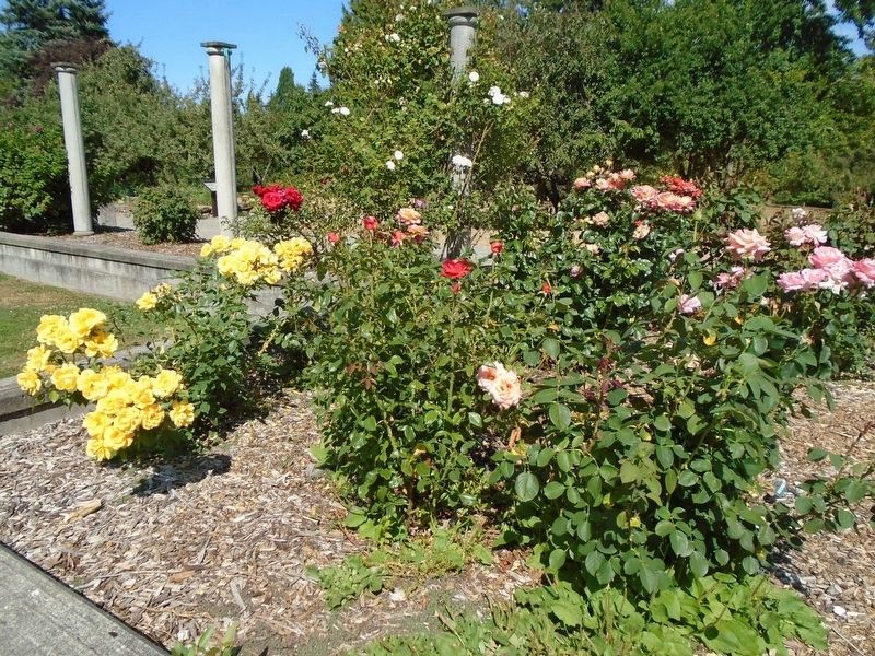 National Rosie the Riveter Memorial Rose Garden. Click for full size. National Rosie the Riveter Memorial Rose Garden image. Click for full size.