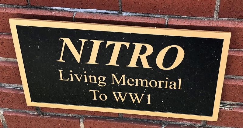 World War I Memorial image. Click for full size.