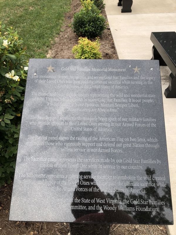 Gold Star Families Memorial Monument image. Click for full size.