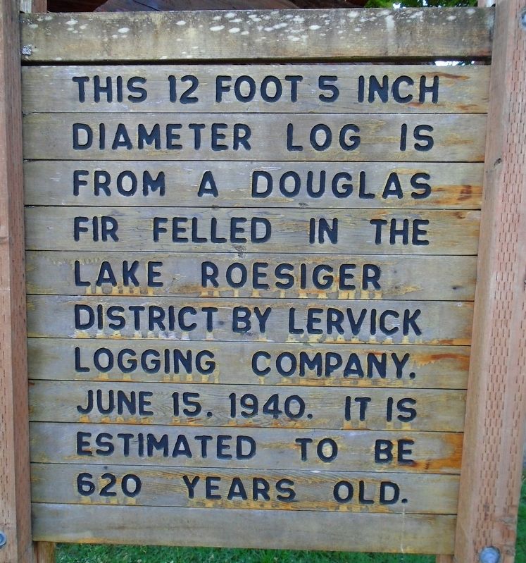 Douglas Fir Log Marker image. Click for full size.