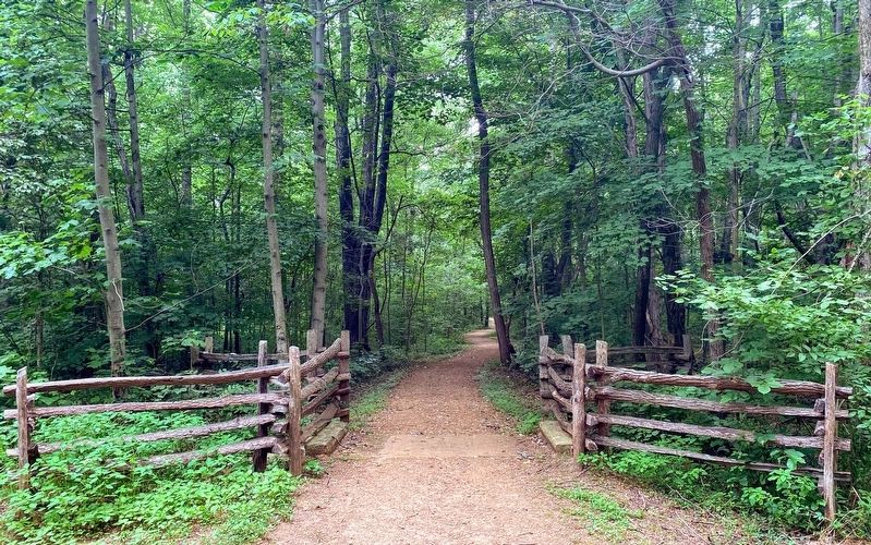 Start of the Boyhood Nature Trail image. Click for full size.