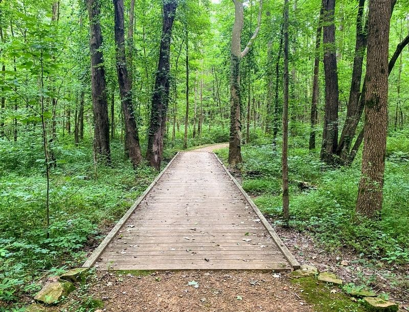Typical terrain along the trail image. Click for full size.