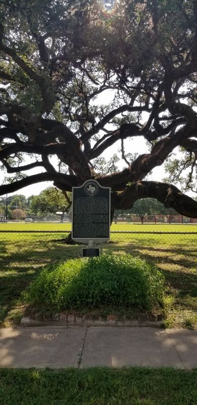 Site of J. Light Townsend Homestead Marker. Click for full size. Site of J. Light Townsend Homestead Marker image. Click for full size.