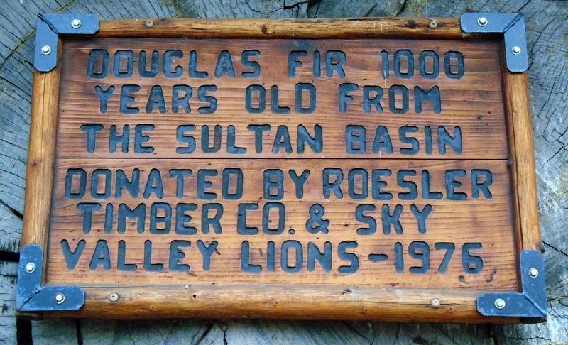 Douglas Fir Log Marker. Click for full size. Douglas Fir Log Marker image. Click for full size.