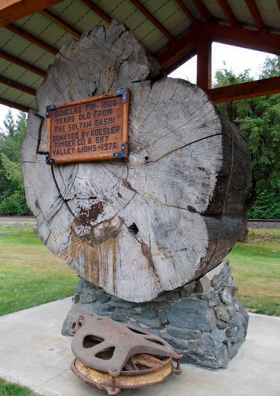 Douglas Fir Log and Marker. Click for full size. Douglas Fir Log and Marker image. Click for full size.