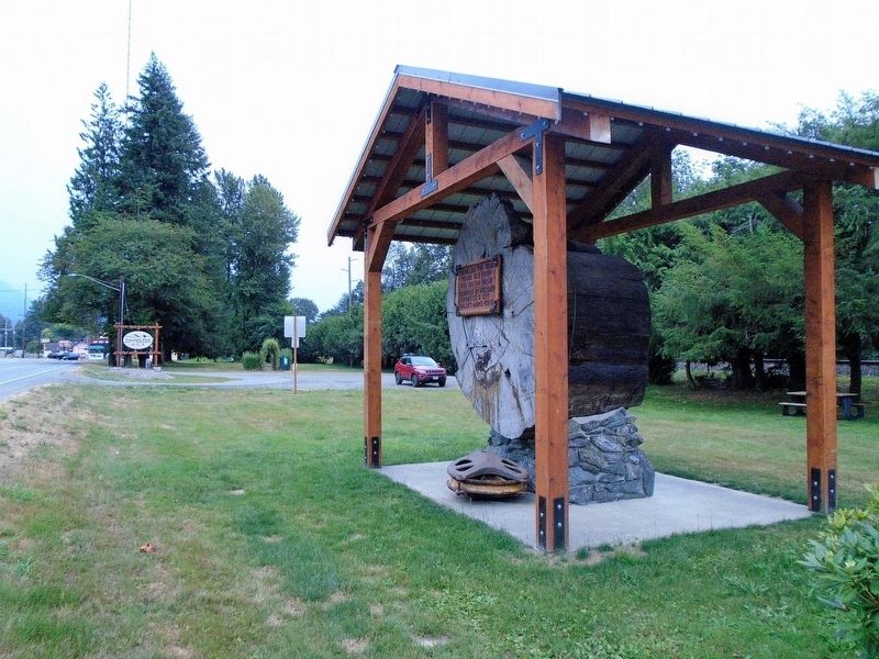 Douglas Fir Log and Marker. Click for full size. Douglas Fir Log and Marker image. Click for full size.