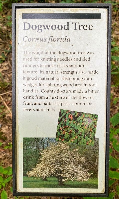 Dogwood Tree Marker image. Click for full size.