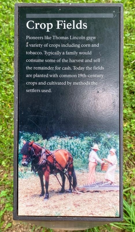 Crop Fields Marker image. Click for full size.