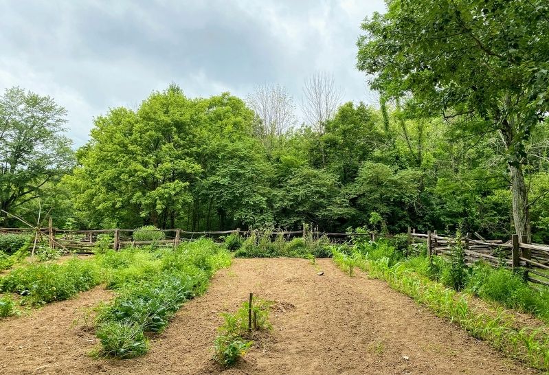 Lincoln Boyhood Farm Kitchen Garden. Click for full size. Lincoln Boyhood Farm Kitchen Garden image. Click for full size.