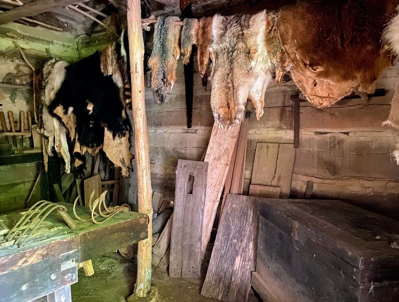 Animal Furs Inside the Carpenter Shop image. Click for full size.
