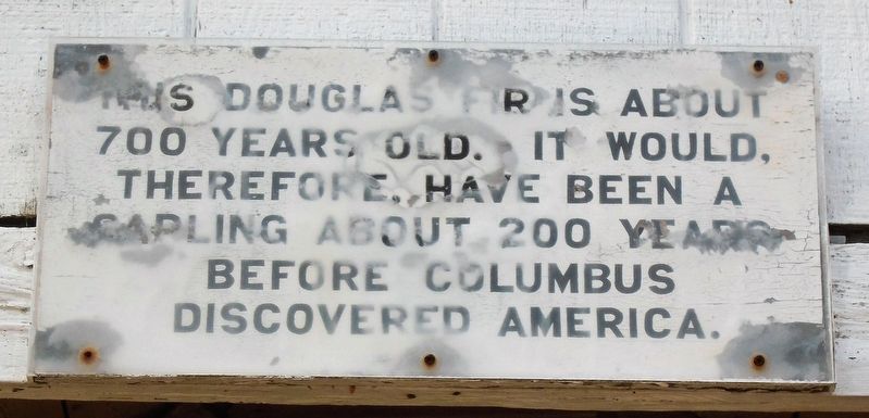 Douglas Fir Log Marker. Click for full size. Douglas Fir Log Marker image. Click for full size.
