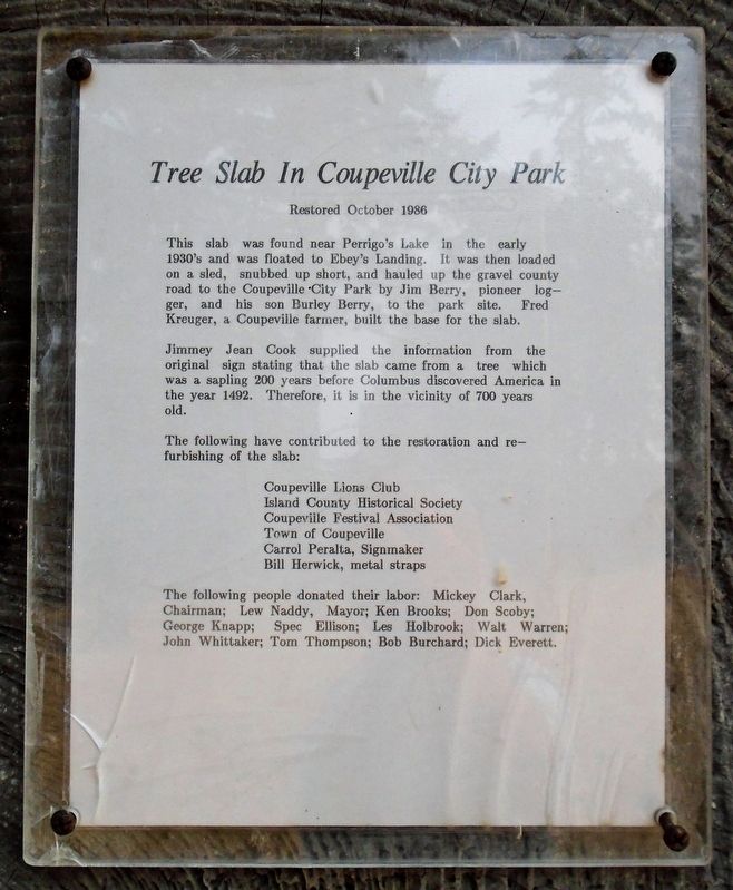 Douglas Fir Slab Marker. Click for full size. Douglas Fir Slab Marker image. Click for full size.
