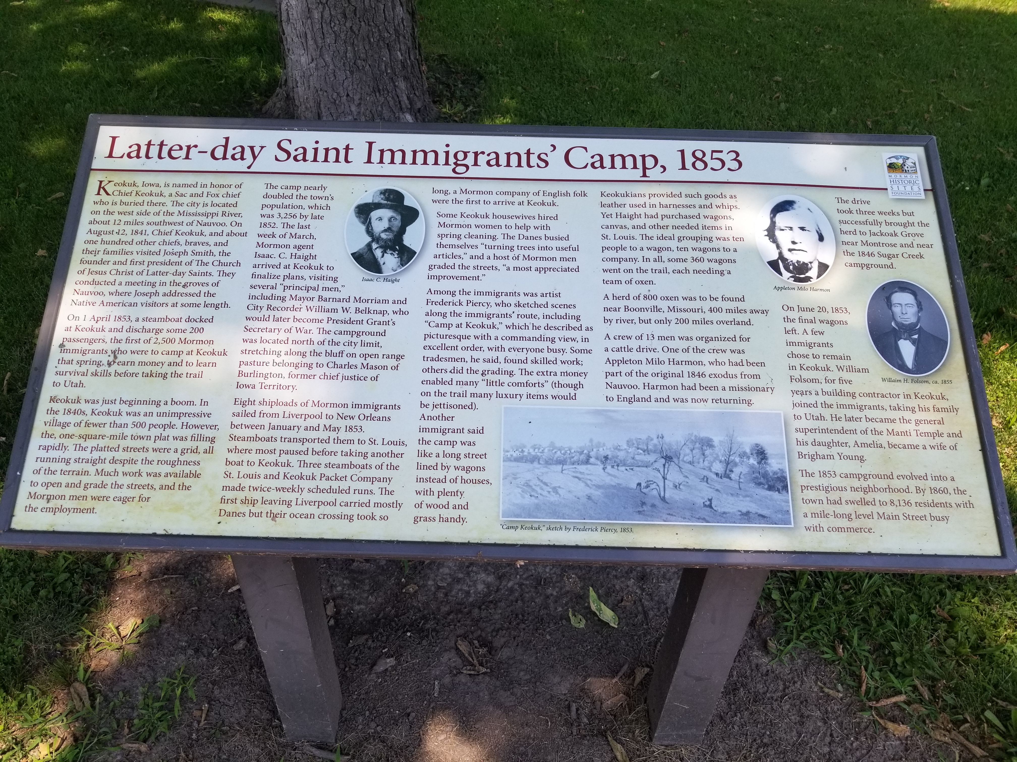Latter-day Saint Immigrants
