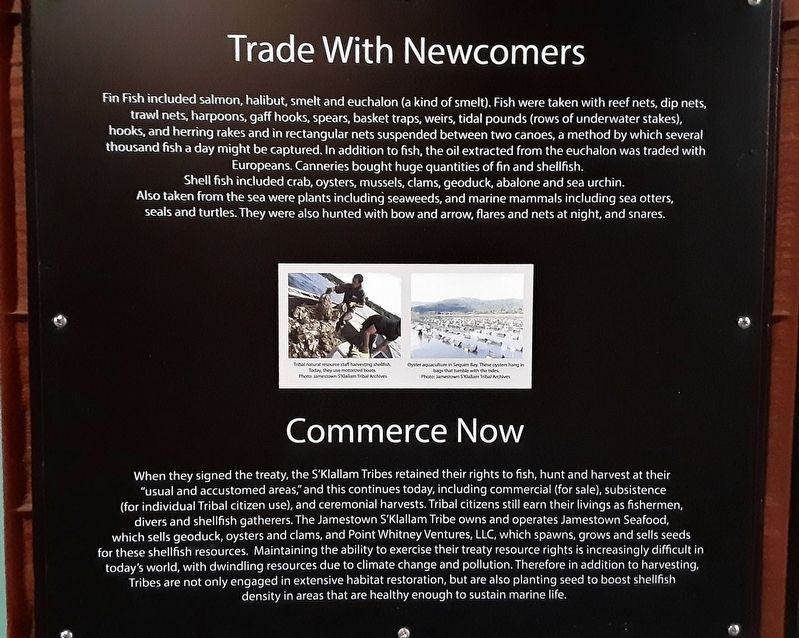 Trade With Newcomers Marker image. Click for full size.