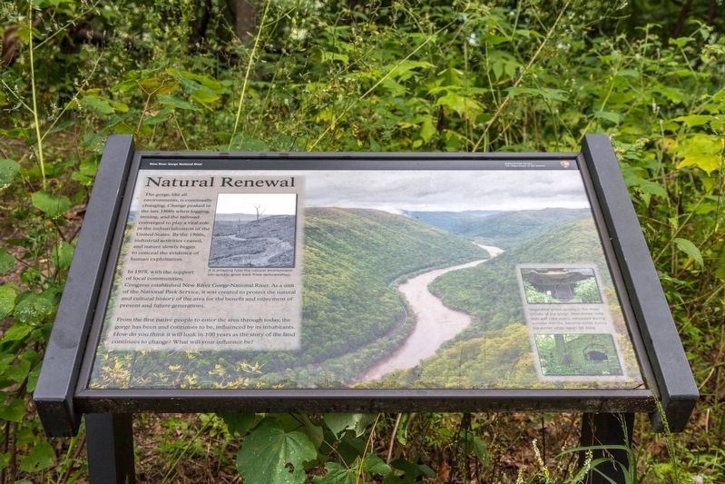 Natural Renewal Marker. Click for full size. Natural Renewal Marker image. Click for full size.