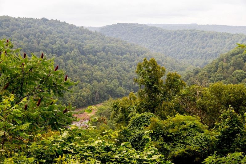 View of the Gauley River valley from the overlook. Click for full size. View of the Gauley River valley from the overlook image. Click for full size.