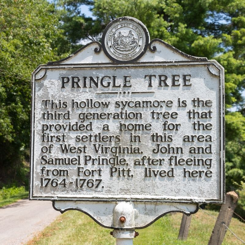 Pringle Tree Marker image. Click for full size.