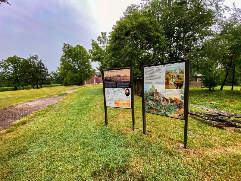 Toil Without Choice at Ellwood Marker. Click for full size. Toil Without Choice at Ellwood Marker image. Click for full size.