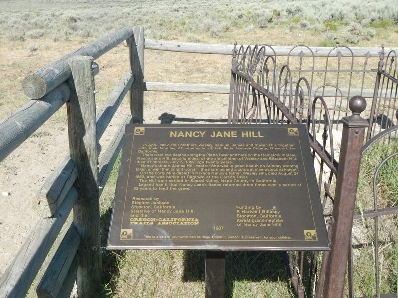 Nancy Jane Hill Marker image. Click for full size.