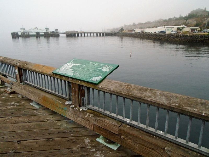 Bounty of the Bay Marker. Click for full size. Bounty of the Bay Marker image. Click for full size.