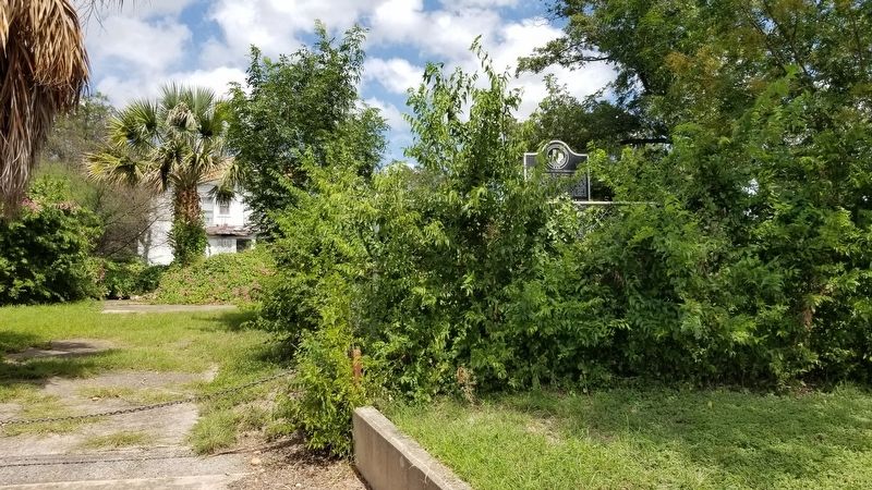 The Belgian Transit of Venus Observation Site Marker is along the fence with bushes image. Click for full size.