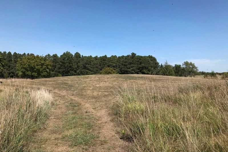 One of the Burial Mounds at Oakwood Lakes State Park image. Click for full size.