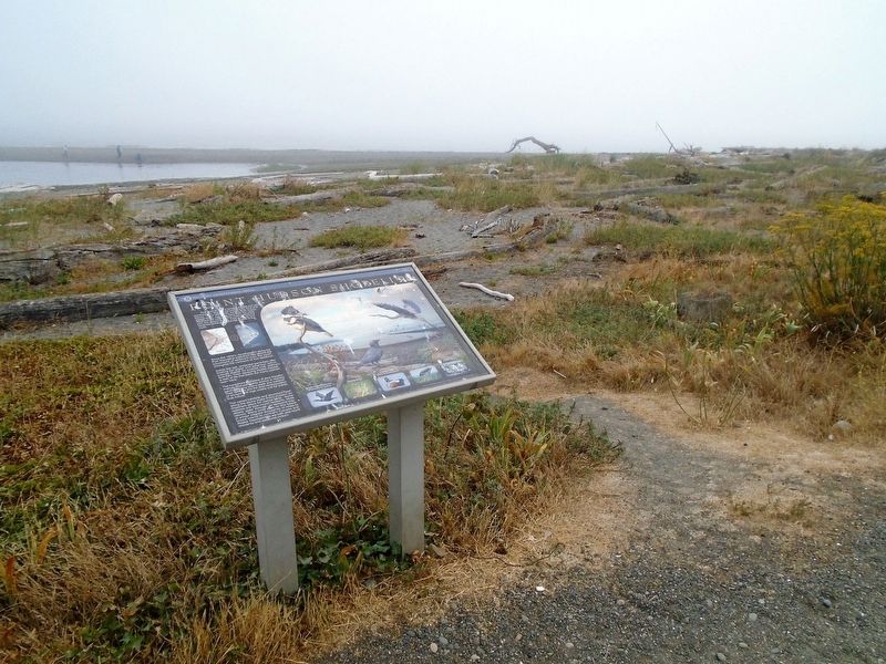 Point Hudson Shoreline and Marker. Click for full size. Point Hudson Shoreline and Marker image. Click for full size.