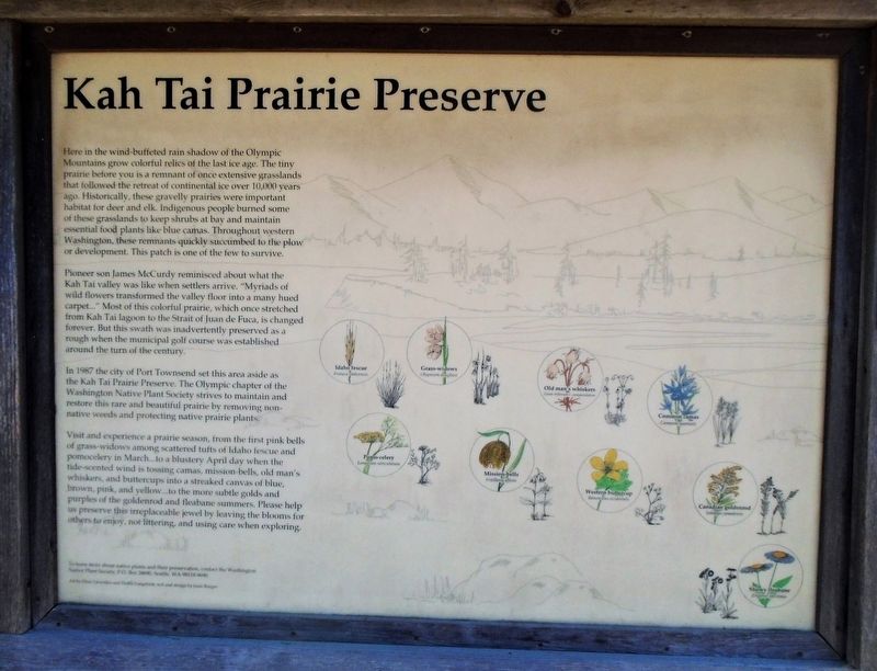 Kah Tai Prairie Preserve Marker image. Click for full size.