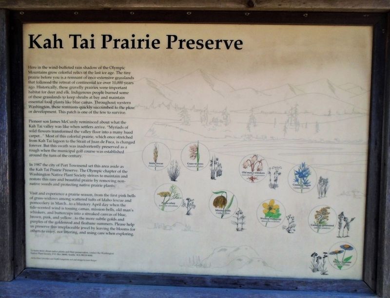 Kah Tai Prairie Preserve Marker. Click for full size. Kah Tai Prairie Preserve Marker image. Click for full size.