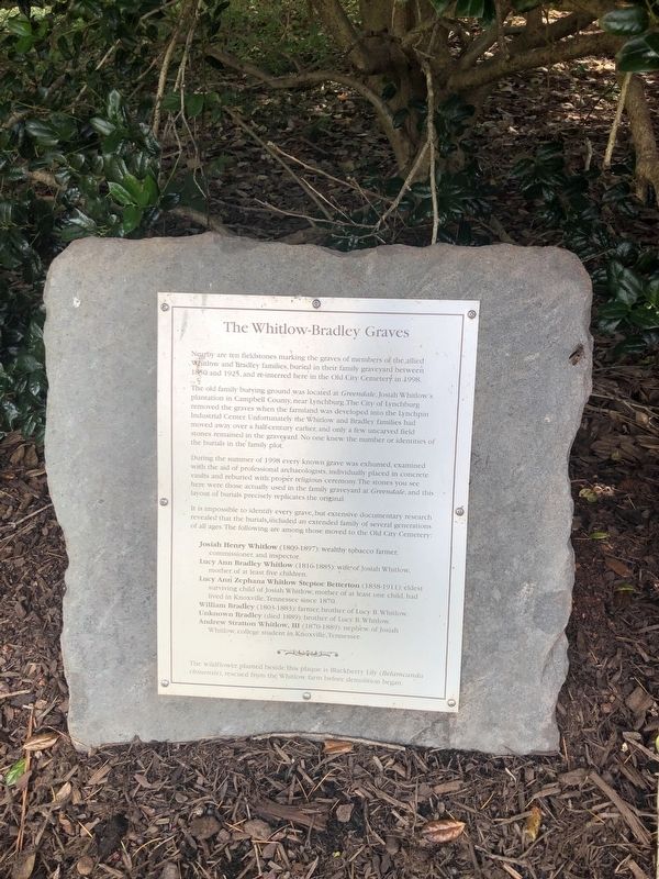 The Whitlow-Bradley Graves Marker. Click for full size. The Whitlow-Bradley Graves Marker image. Click for full size.