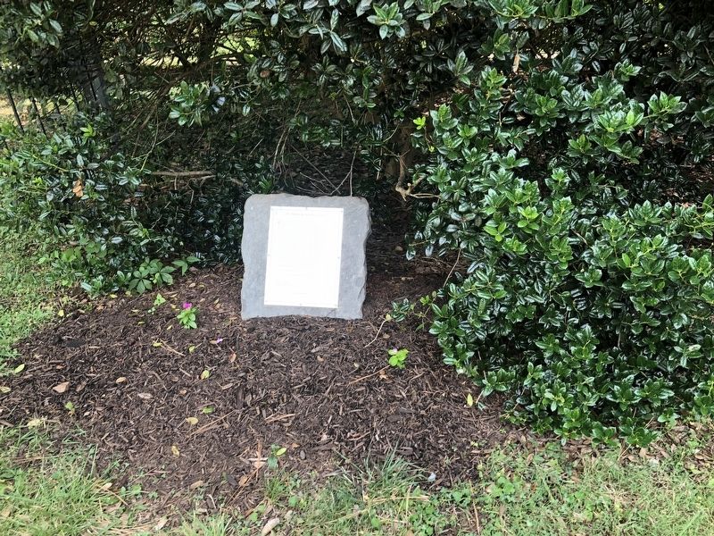 The Whitlow-Bradley Graves Marker. Click for full size. The Whitlow-Bradley Graves Marker image. Click for full size.
