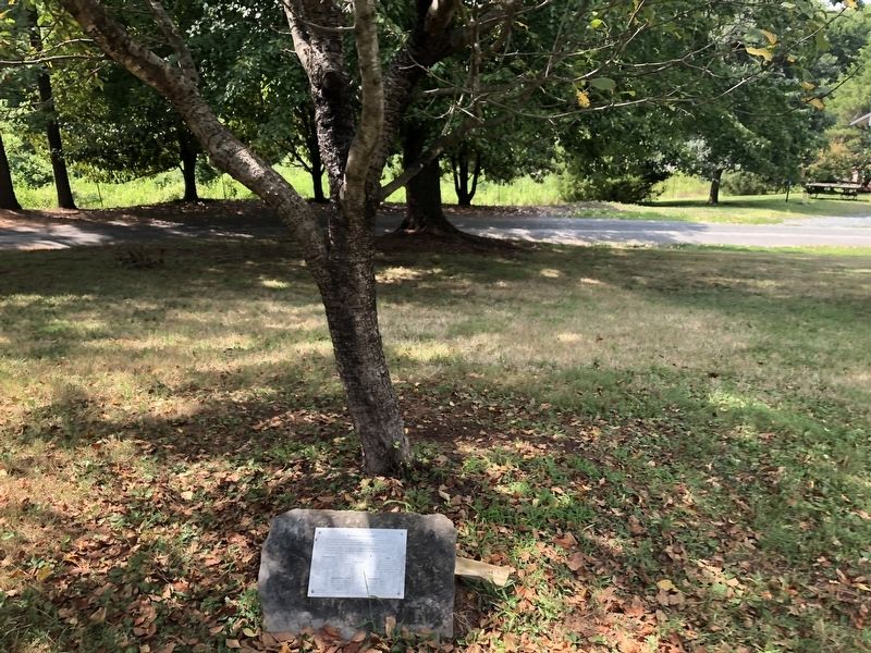 The Duval Holt Orchard Marker. Click for full size. The Duval Holt Orchard Marker image. Click for full size.
