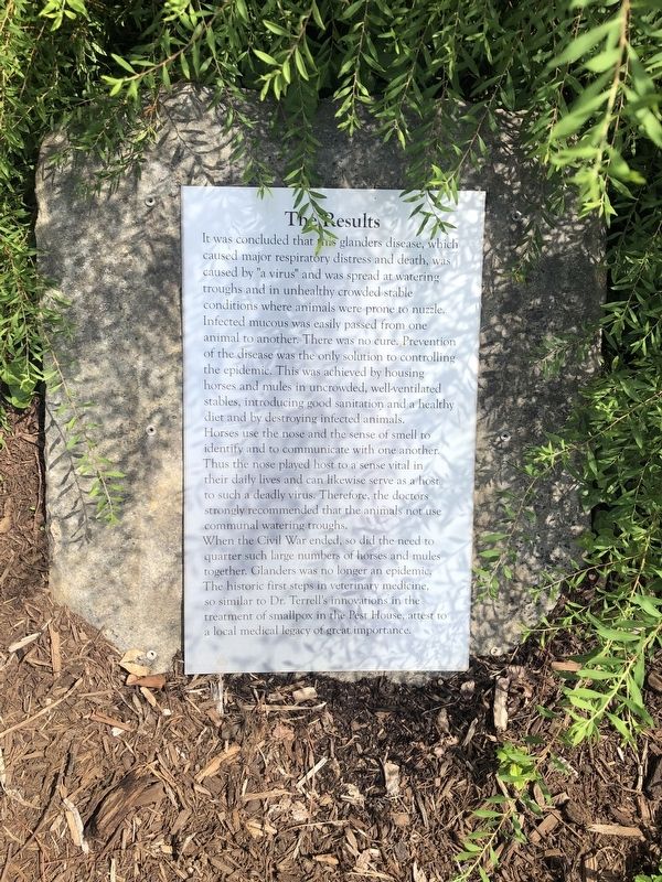 The Quartermaster's Glanders Stable Marker [The Results panel] image. Click for full size.