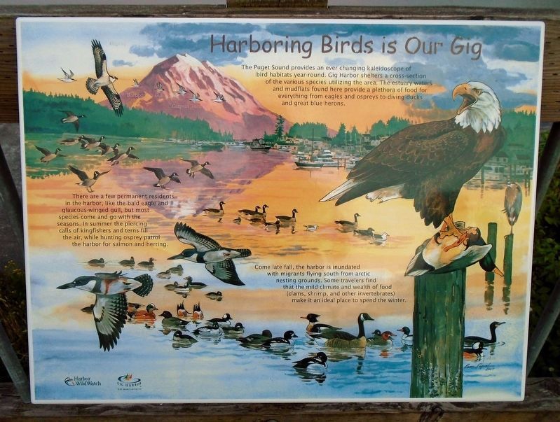 Harboring Birds is Our Gig Marker. Click for full size. Harboring Birds is Our Gig Marker image. Click for full size.