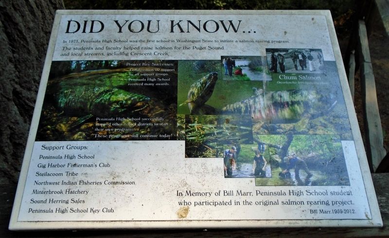 Peninsula High School Salmon Rearing Program Marker. Click for full size. Peninsula High School Salmon Rearing Program Marker image. Click for full size.