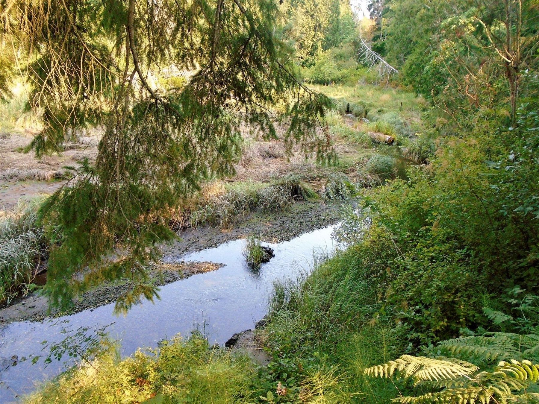 Crescent Creek View From Observation Platform. Click for full size. Crescent Creek View From Observation Platform image. Click for full size.