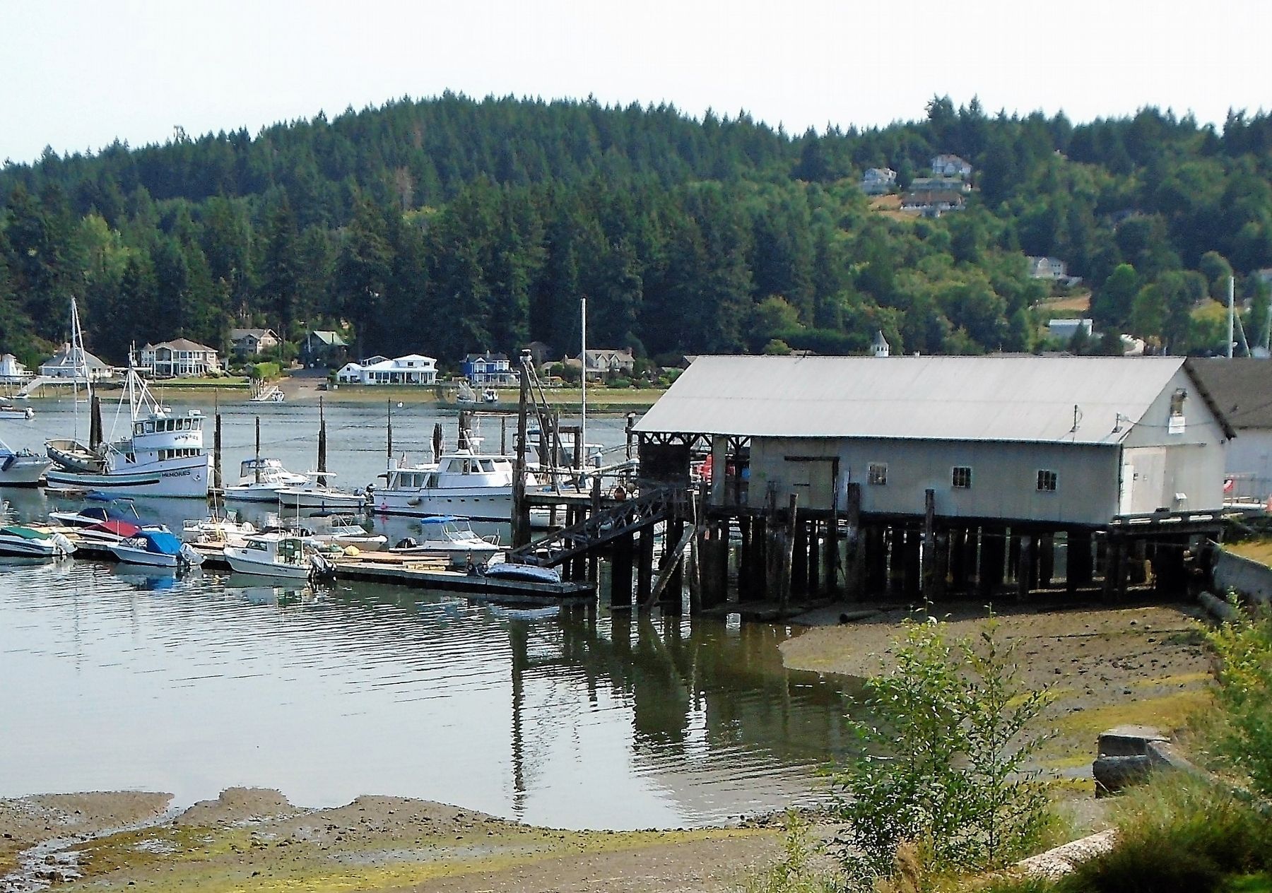 Gig Harbor View image. Click for full size.