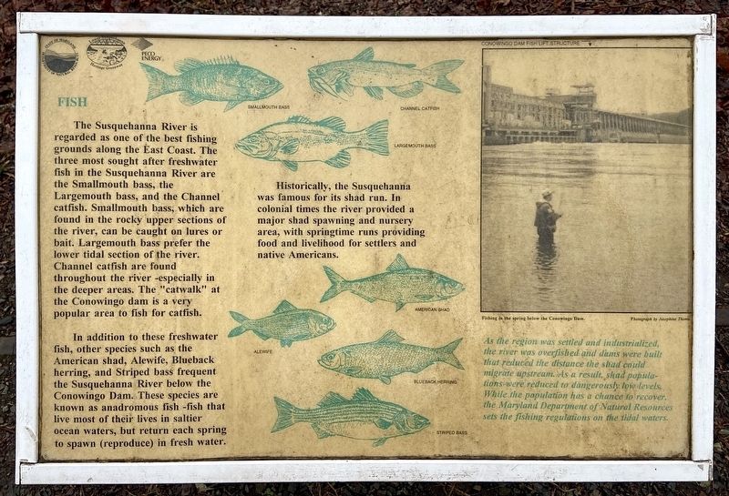 Susquehanna River Fishing Marker image. Click for full size.