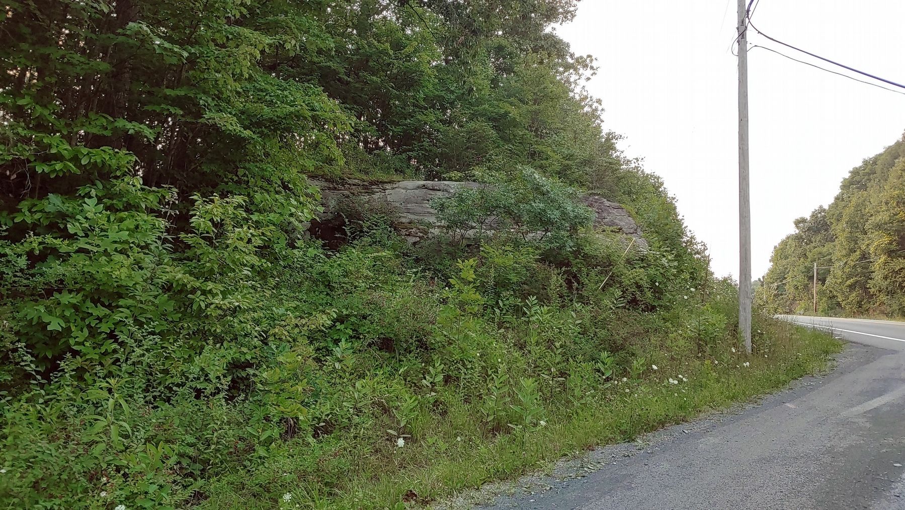 Spy Rock in full summer vegetation image. Click for full size.