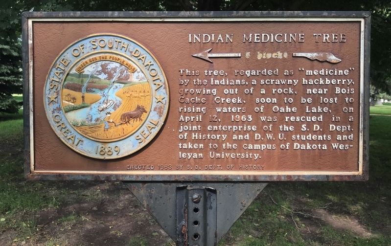 Indian Medicine Tree Marker image. Click for full size.
