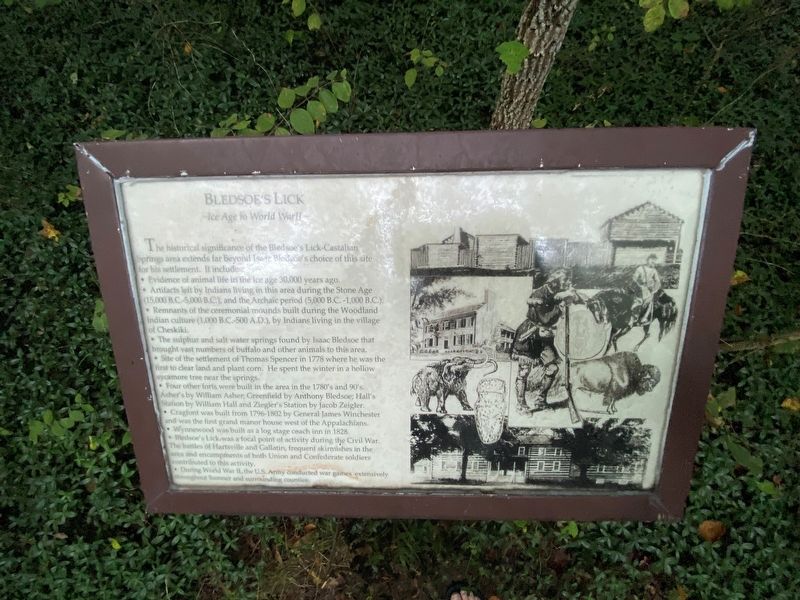 Bledsoe's Lick Marker image. Click for full size.