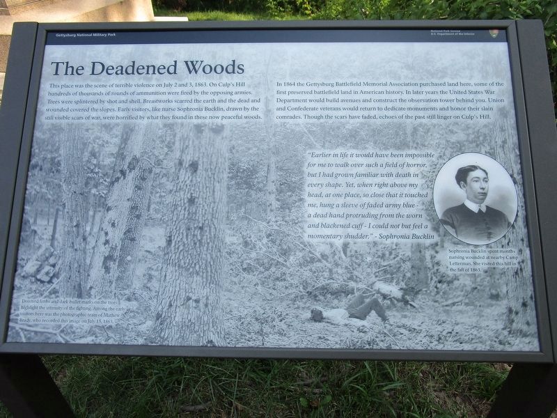 The Deadened Woods Marker image. Click for full size.