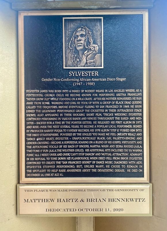 Sylvester Marker. Click for full size. Sylvester Marker image. Click for full size.